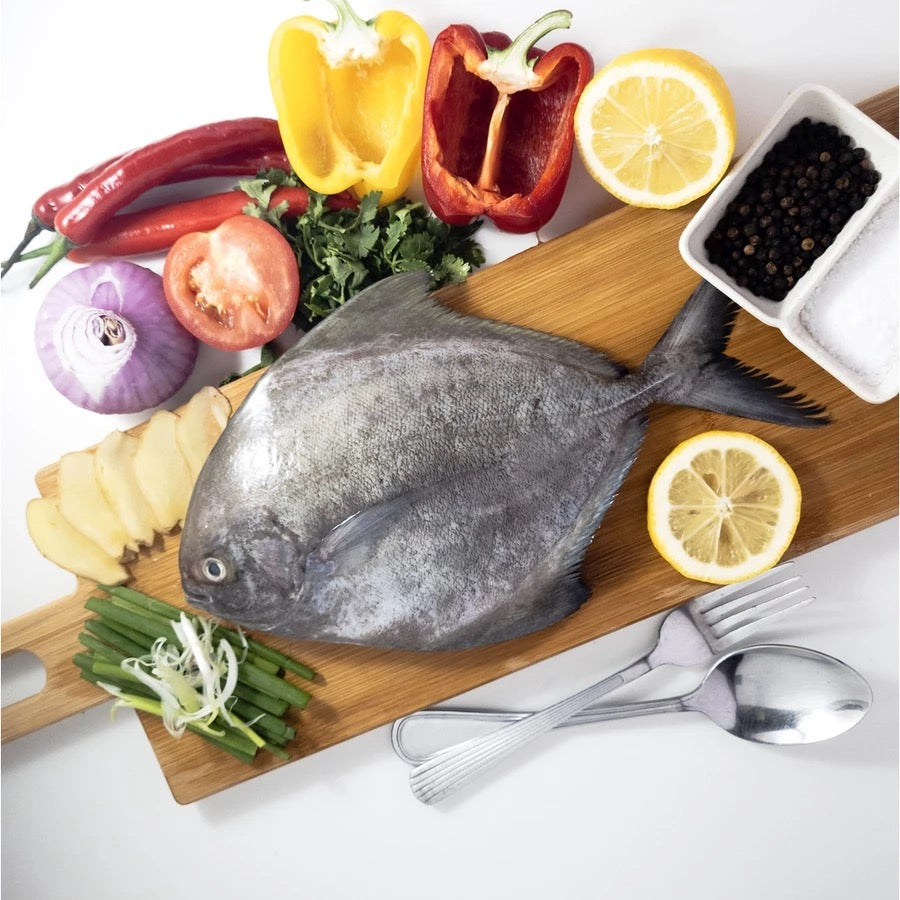 Black Pomfret
