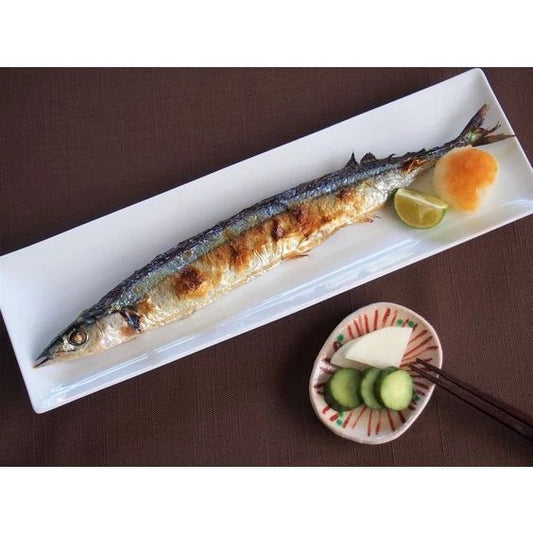Pacific Saury (Sauma)