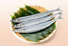 Pacific Saury (Sauma)